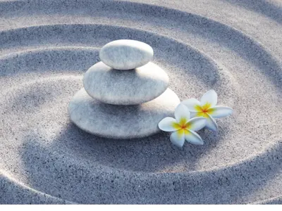 Three rocks stacked on top of each other on sand. There are two small yellow and white flowers beside the rocks.